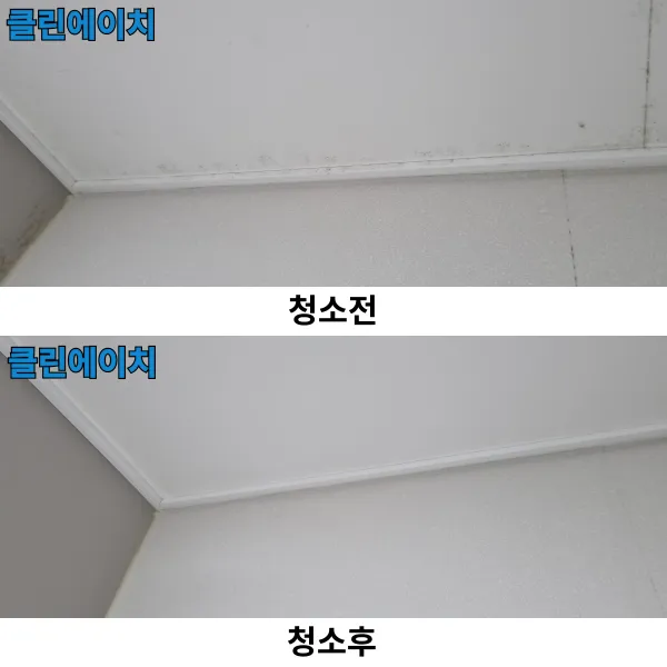 이미지 6