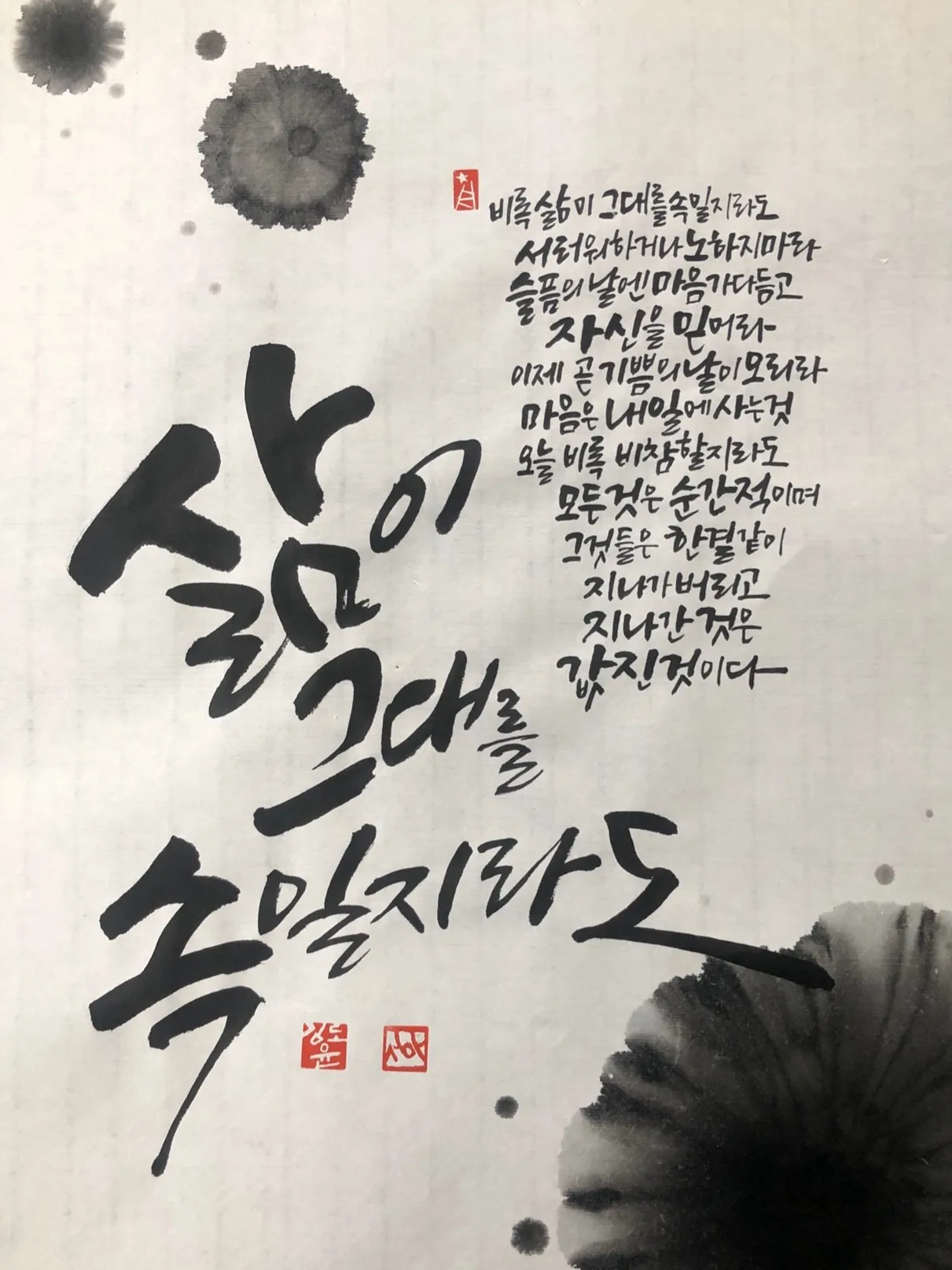 이미지 6