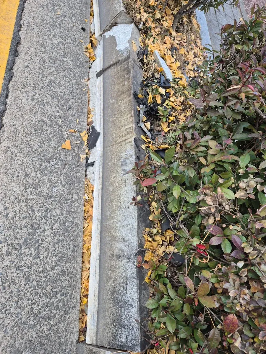 포트폴리오 대표 이미지