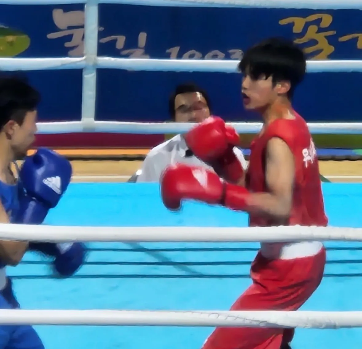 이미지 5