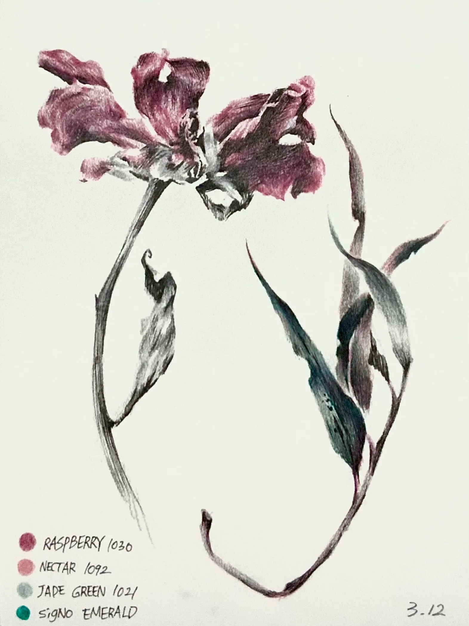 이미지 11
