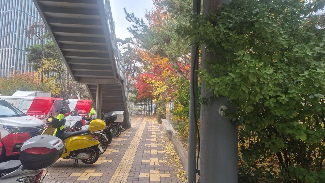 이미지 4