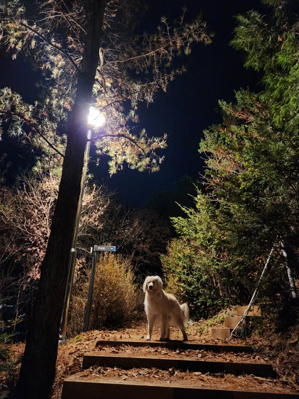 이미지 3