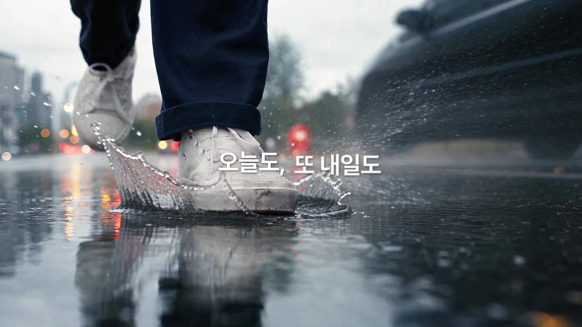 이미지 8