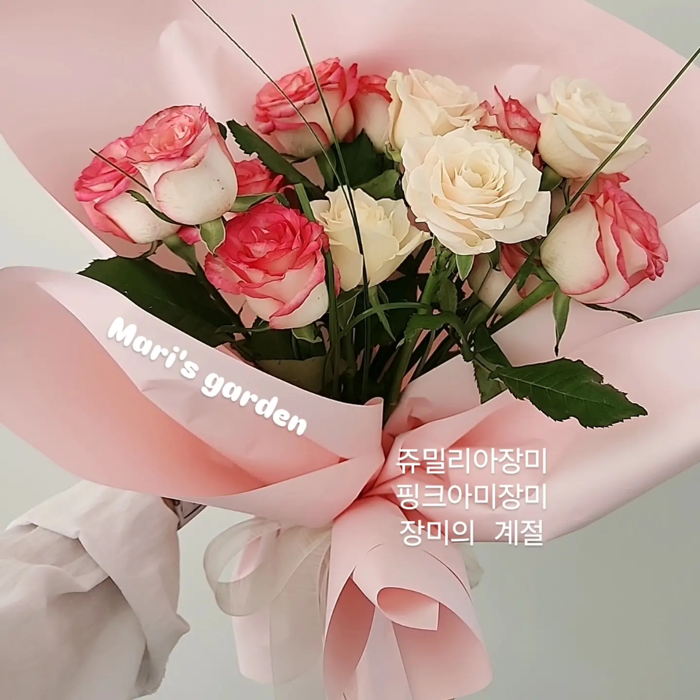 이미지 6
