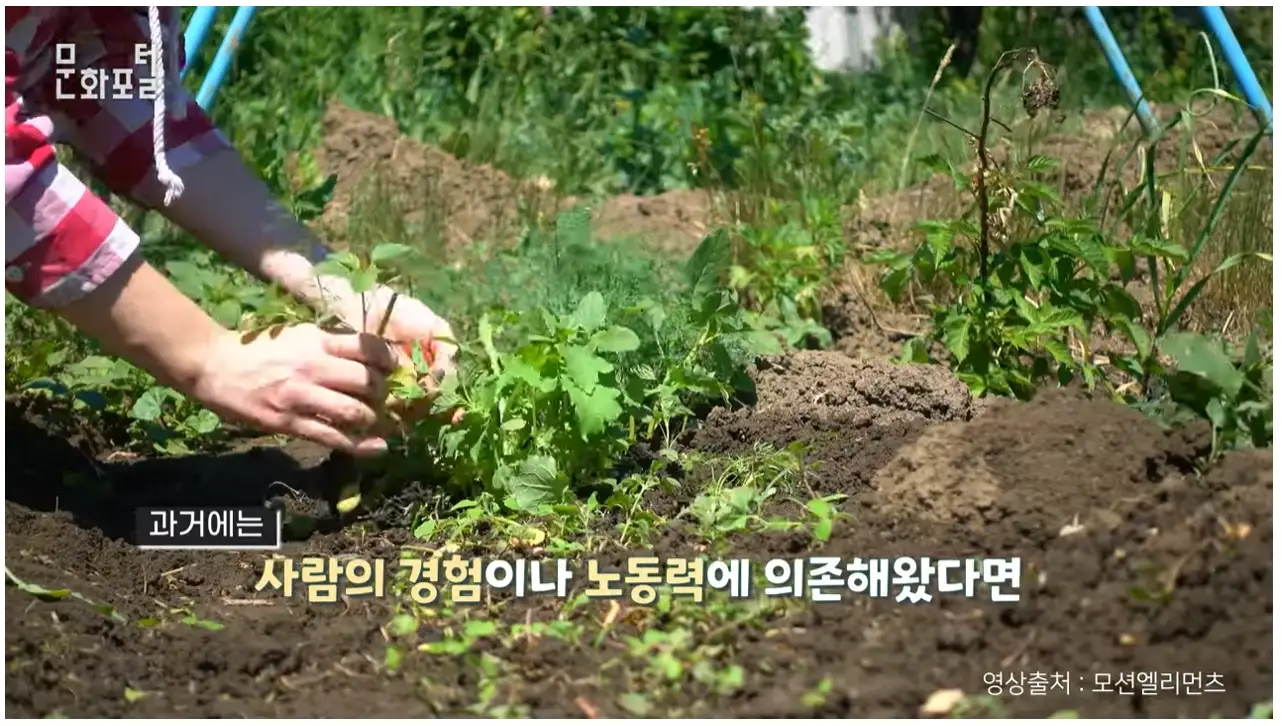 이미지 6