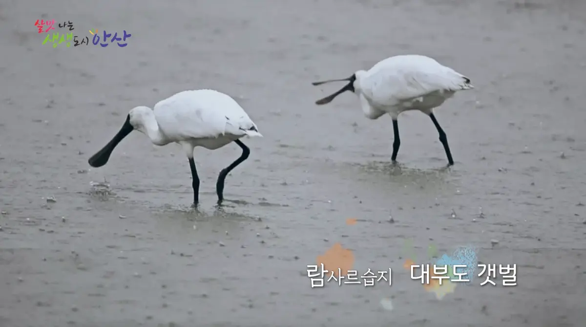 이미지 3