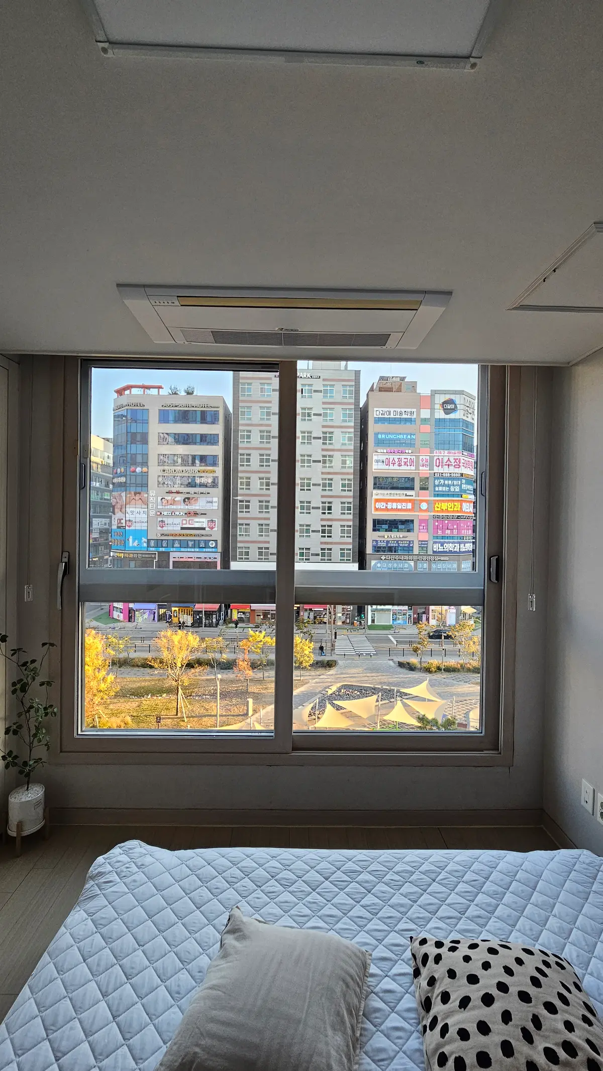 이미지 12