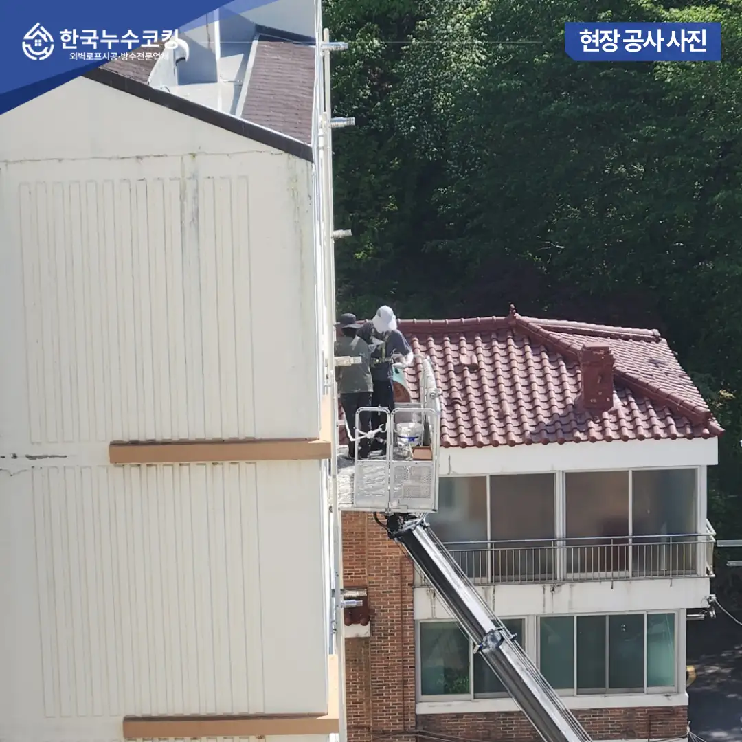 이미지 4