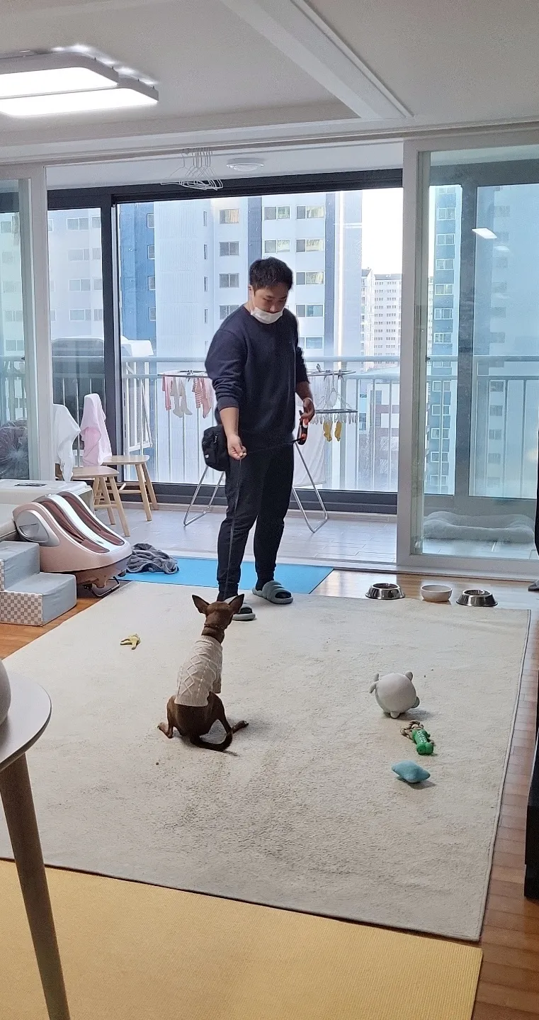 이미지 4