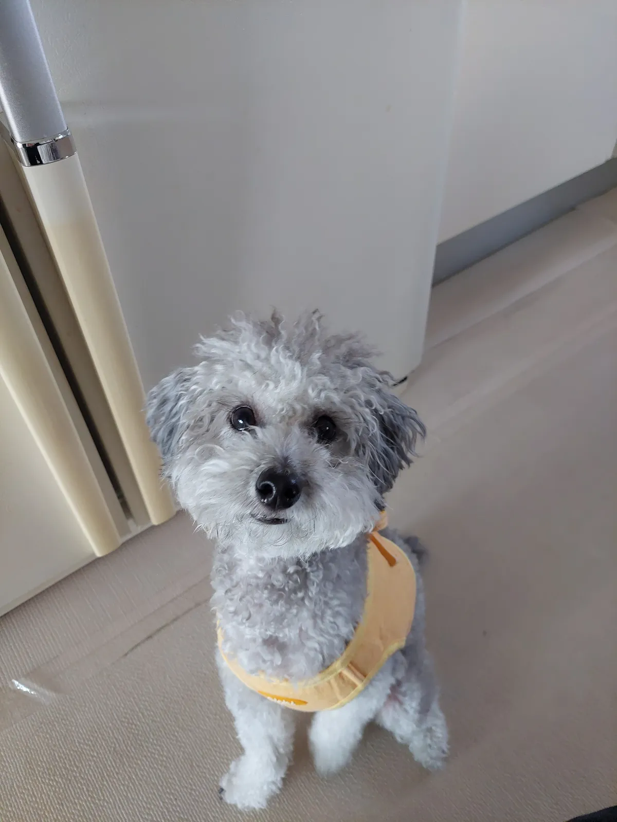 이미지 7