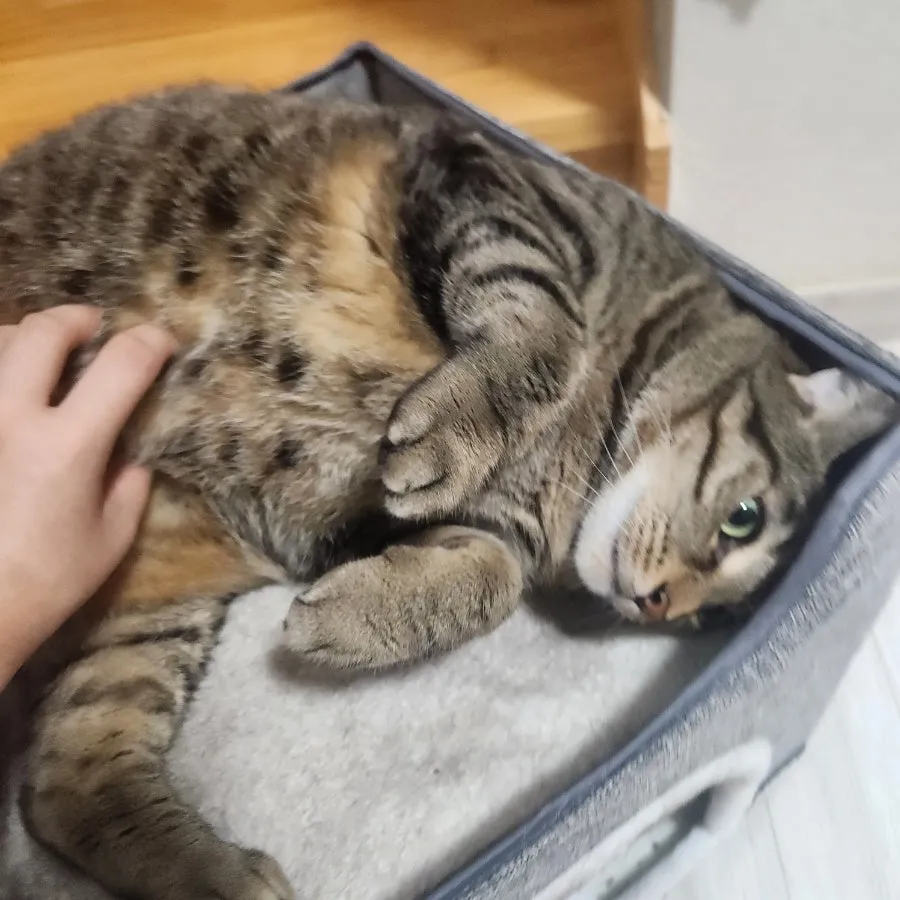 이미지 7