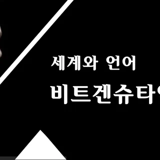 비트겐슈타인