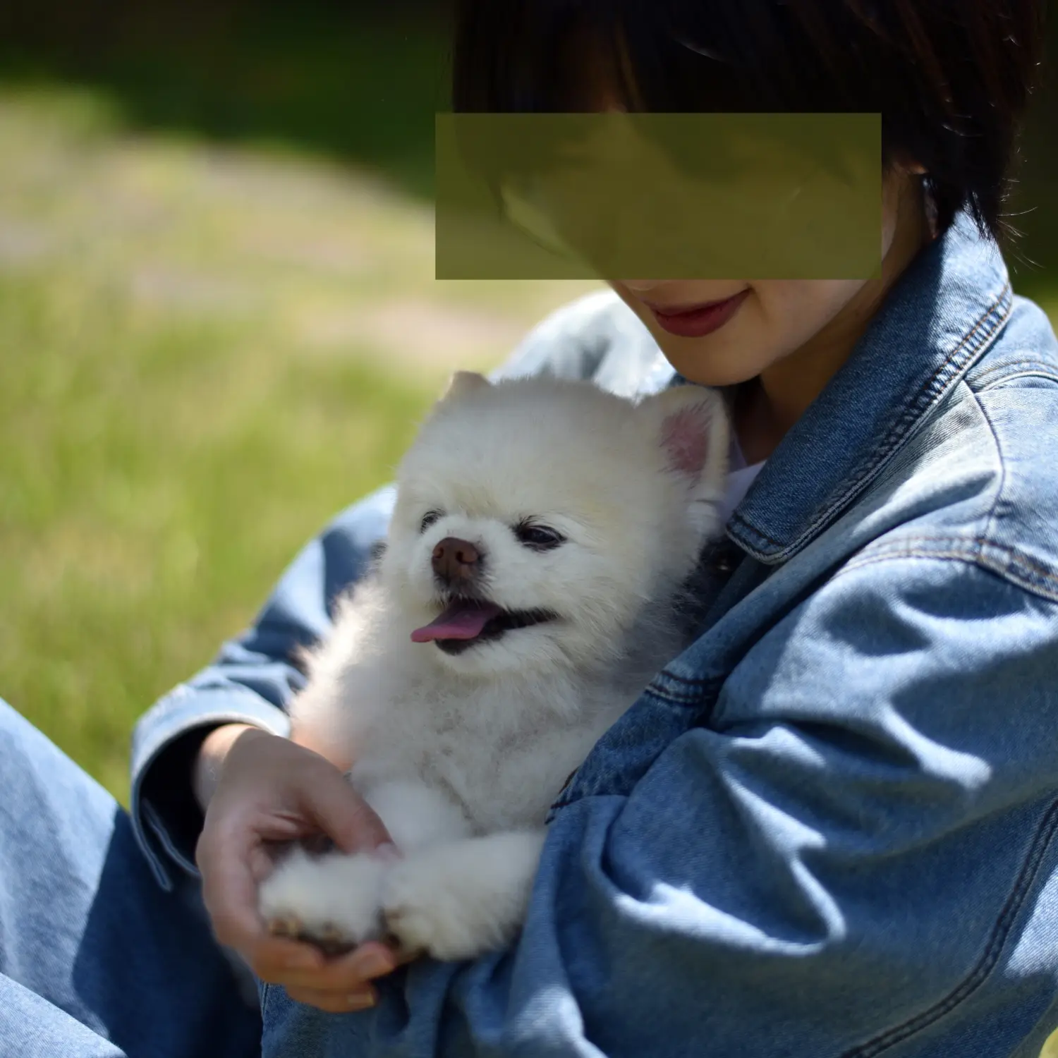 이미지 11