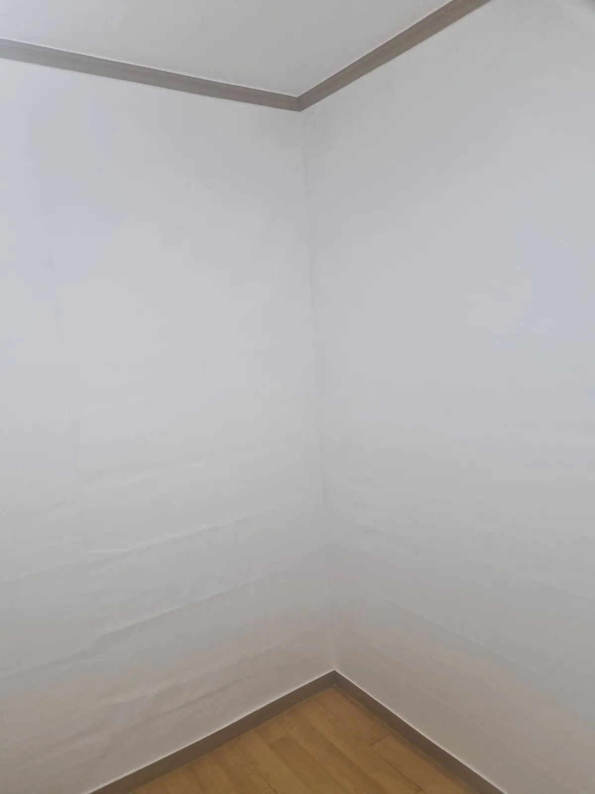 이미지 14
