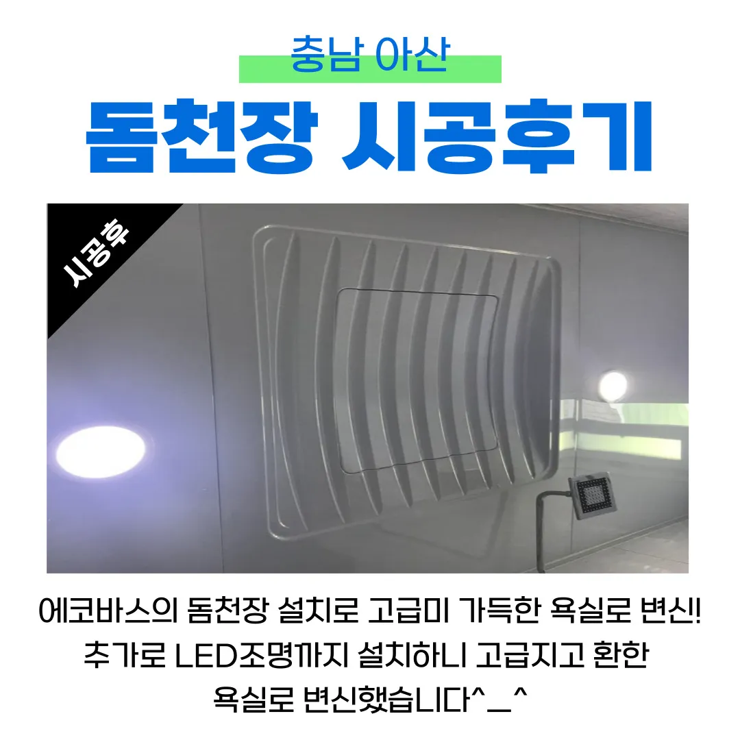 이미지 5