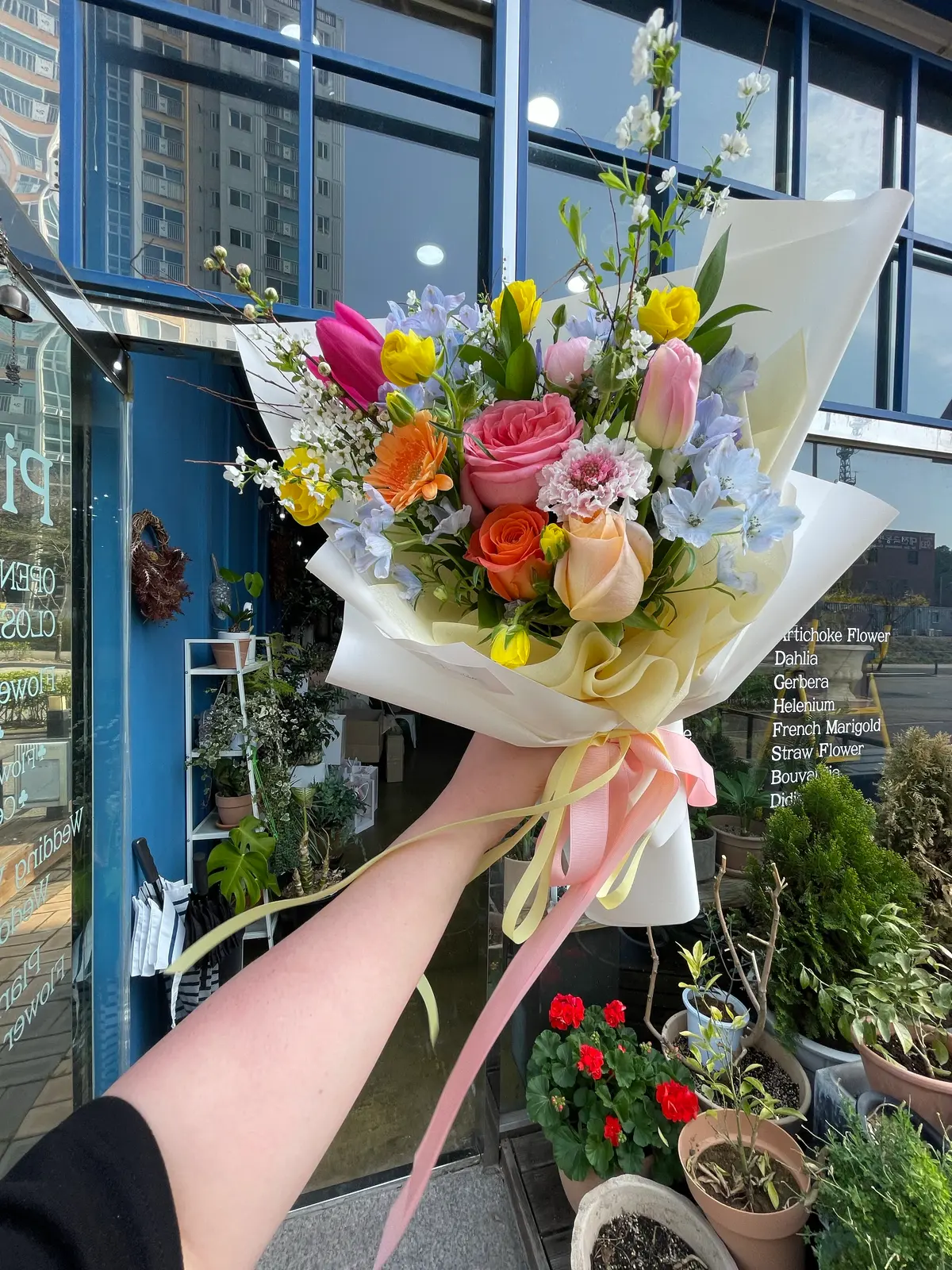 이미지 4