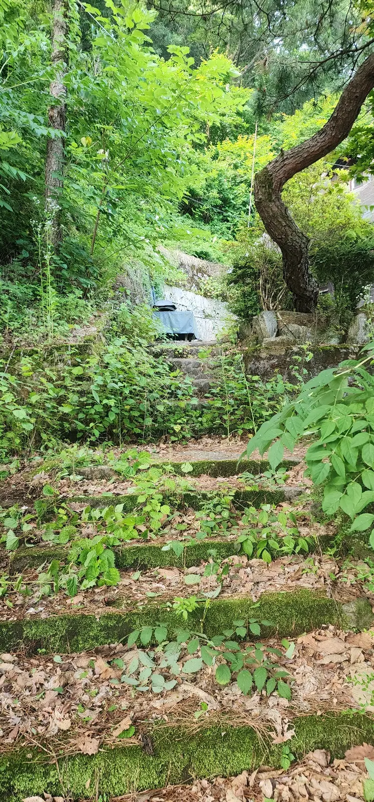 이미지 7