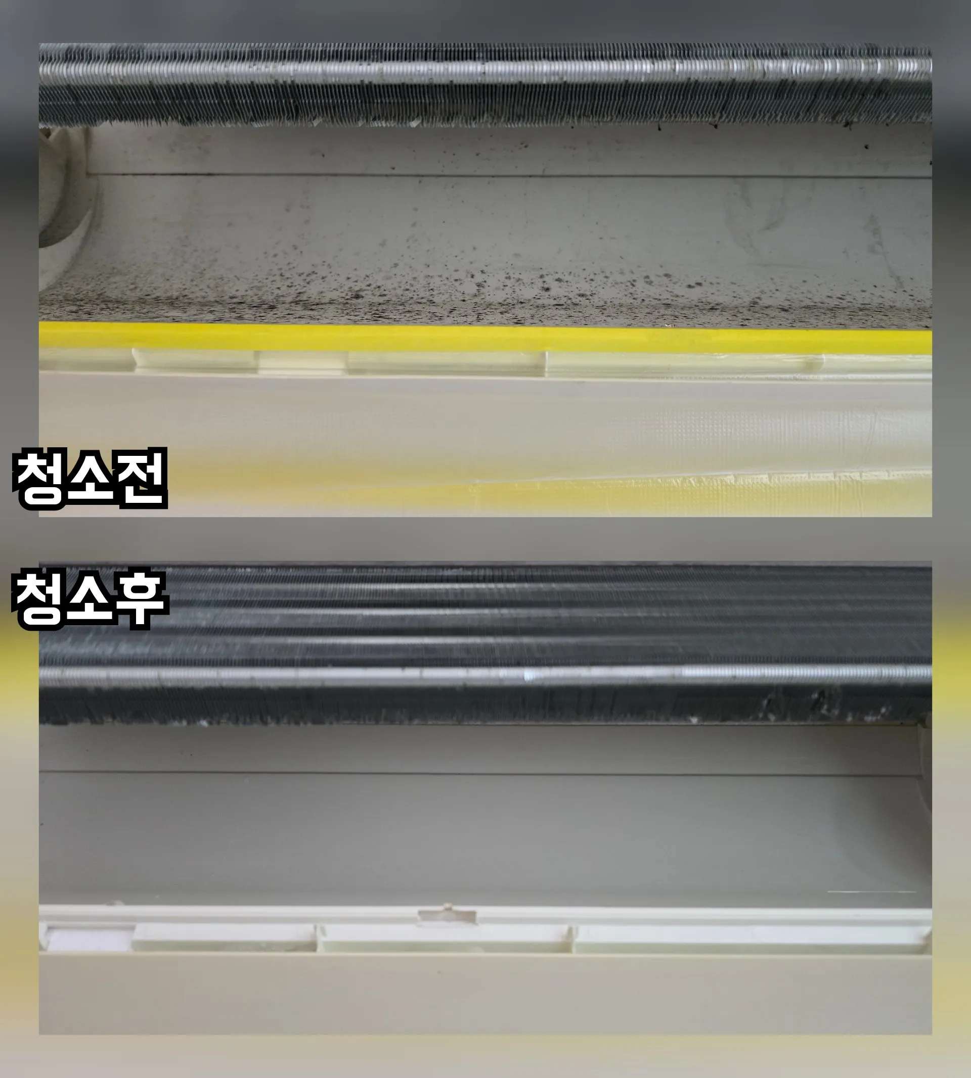 이미지 5