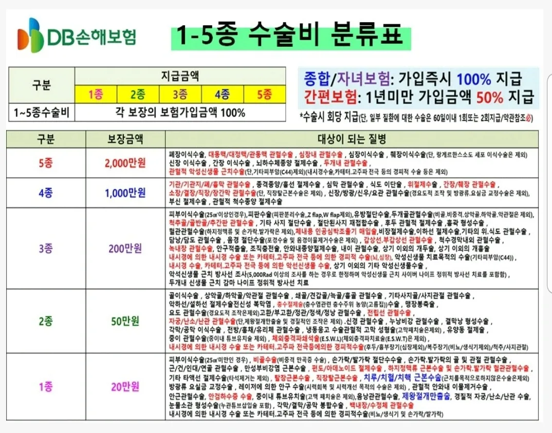 이미지 6