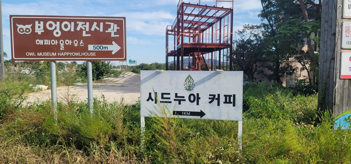 이미지 6