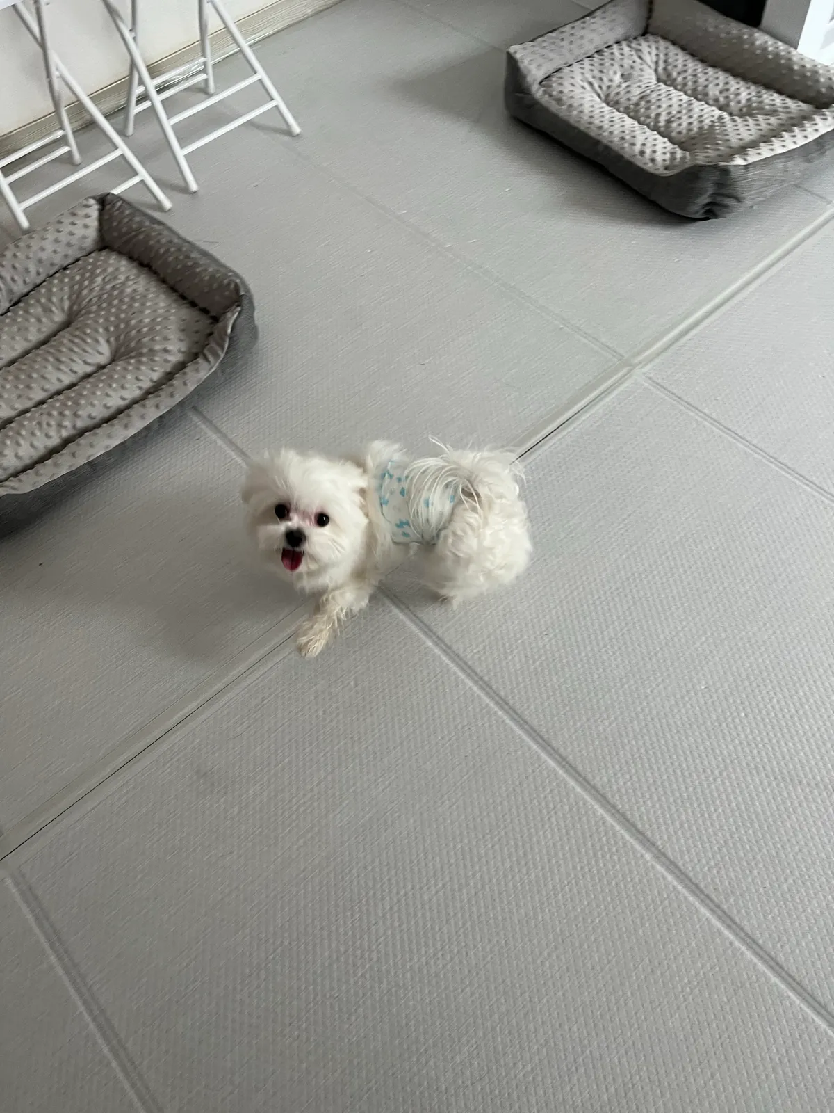 이미지 5