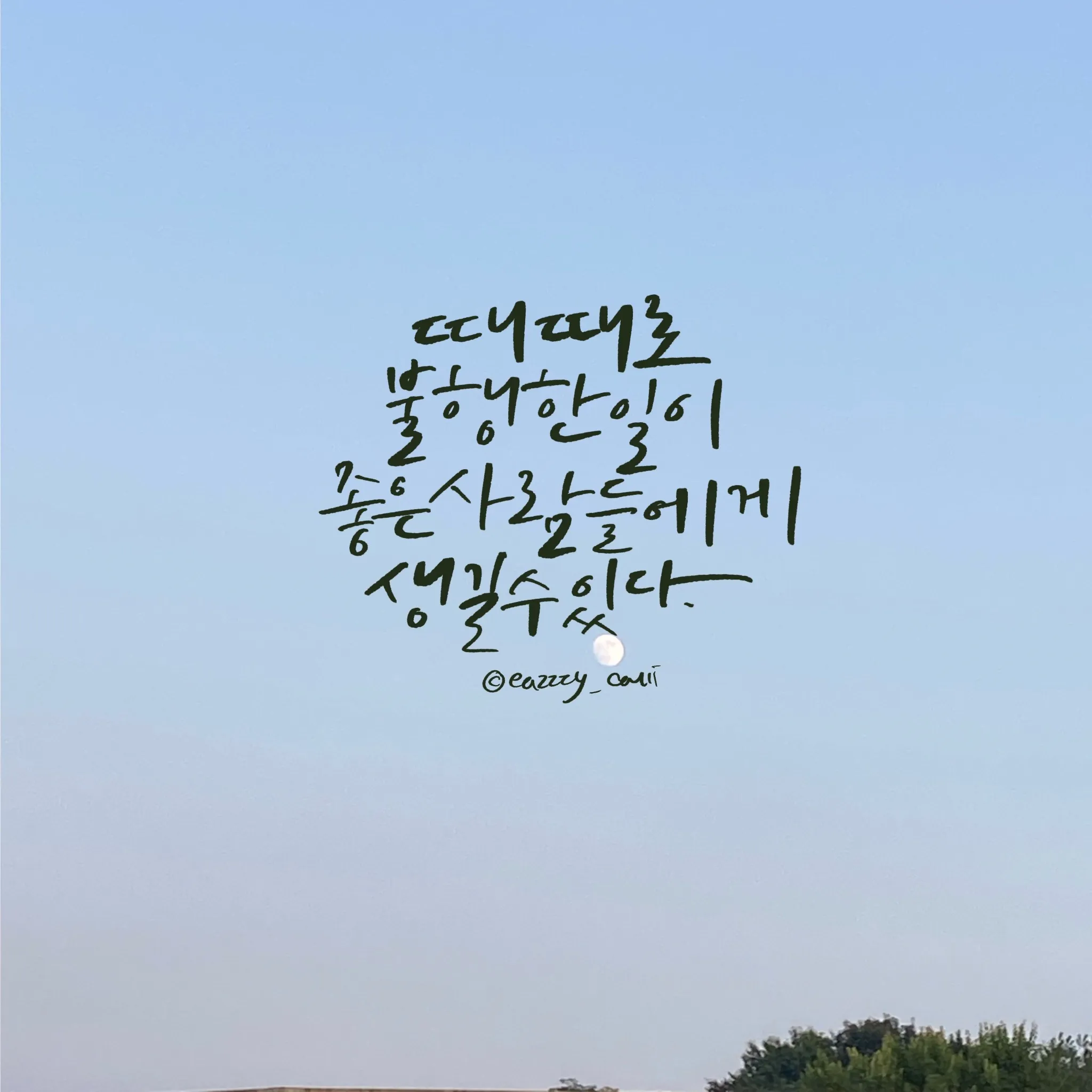 이미지 5