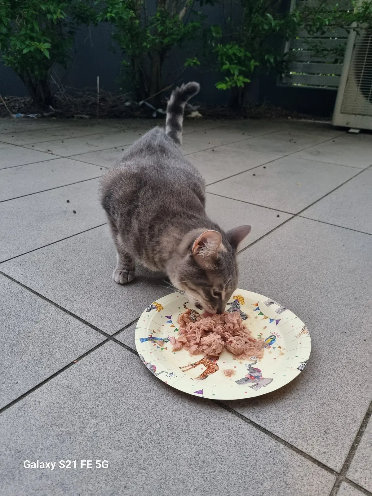 이미지 15
