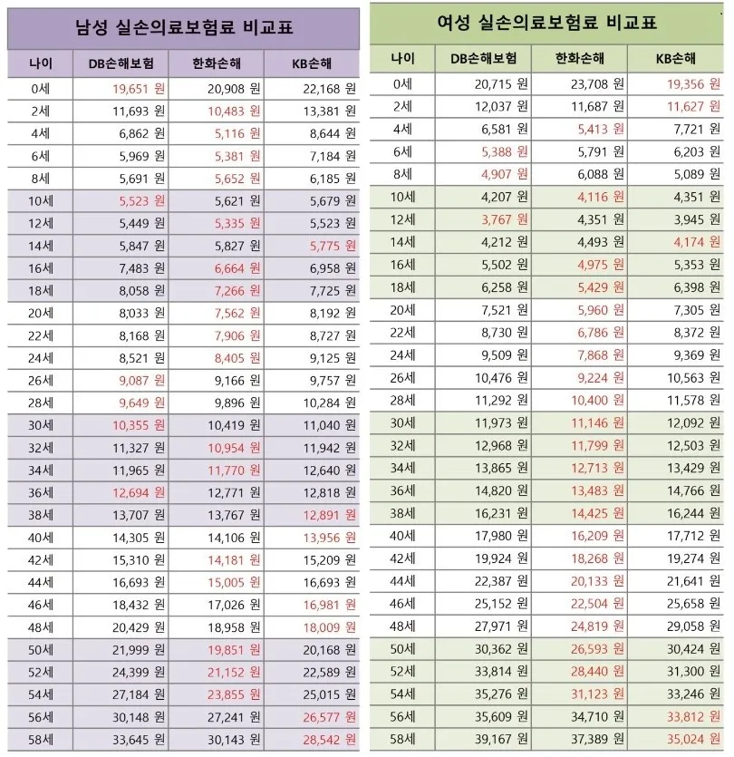 이미지 3
