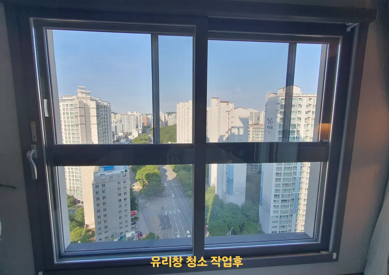 이미지 22
