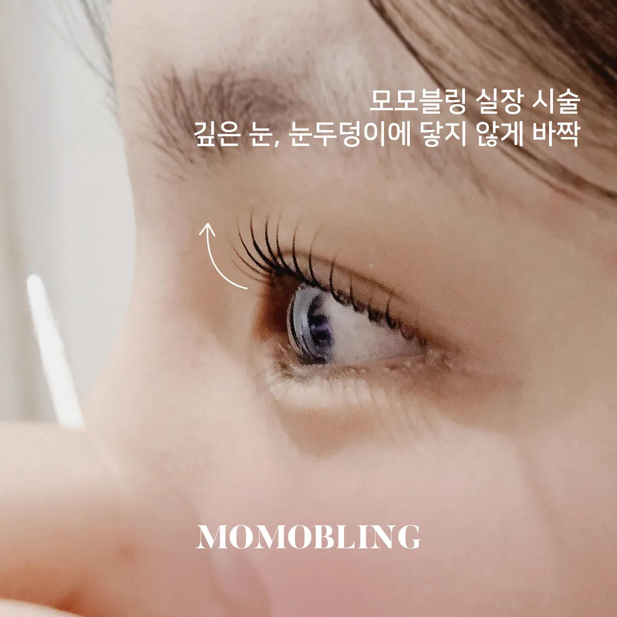 이미지 8