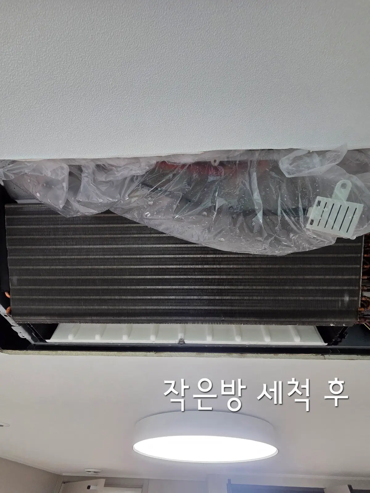 이미지 20