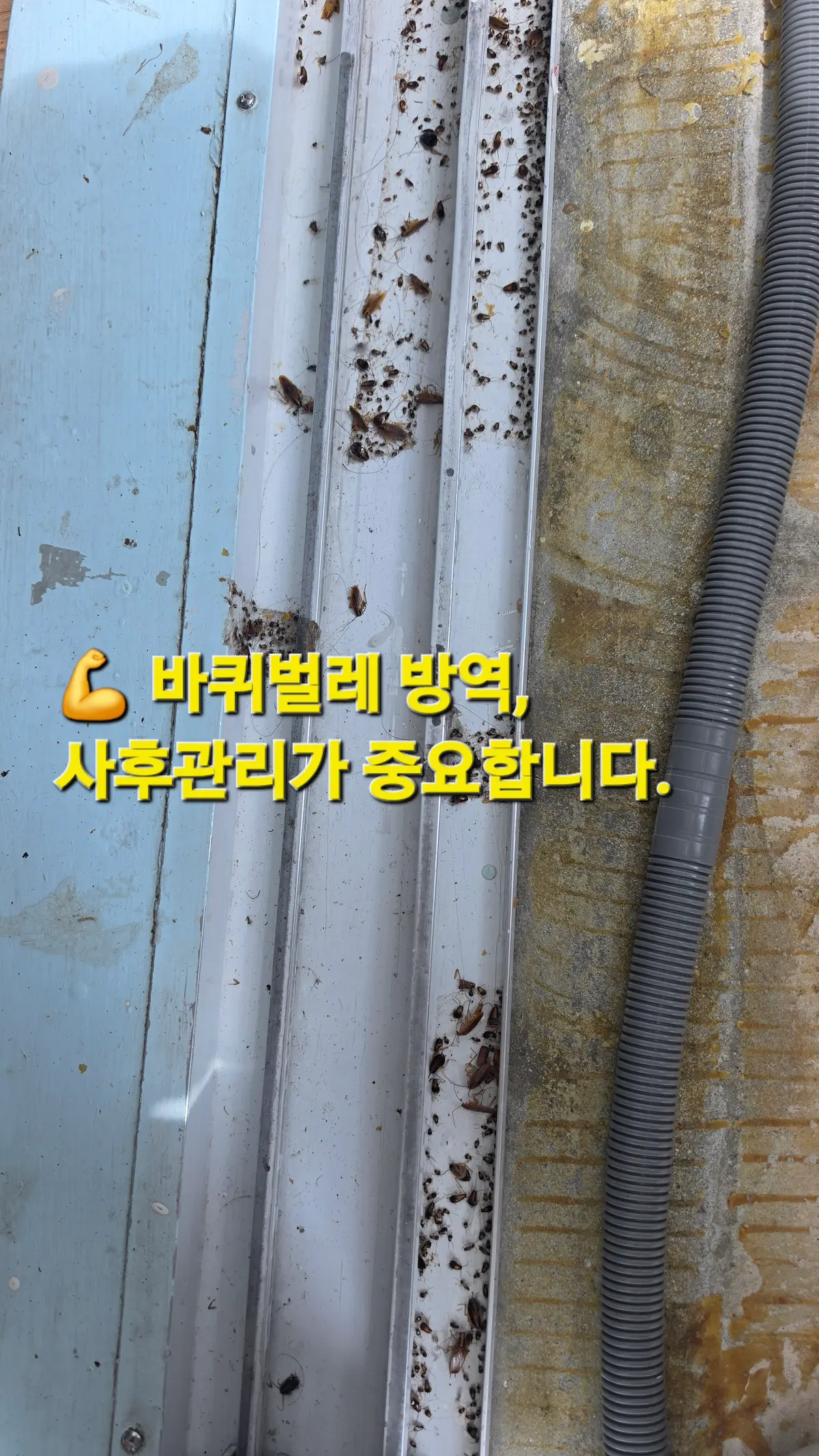 이미지 8