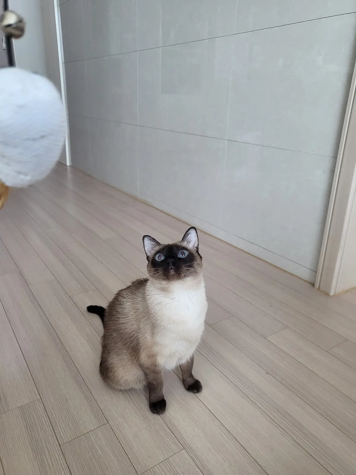 이미지 9