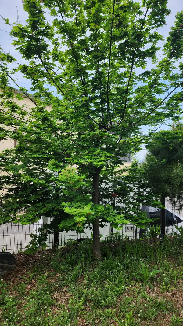 이미지 10