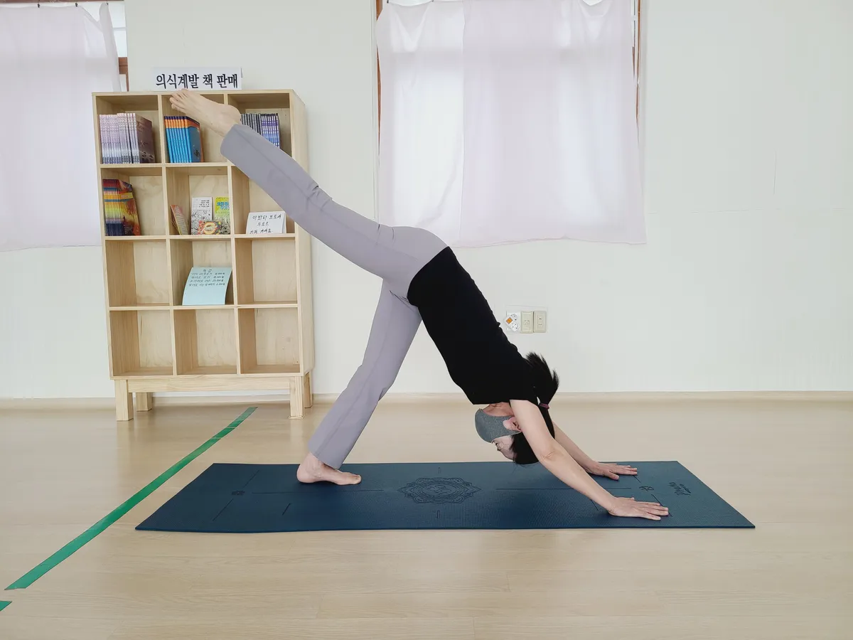 이미지 2