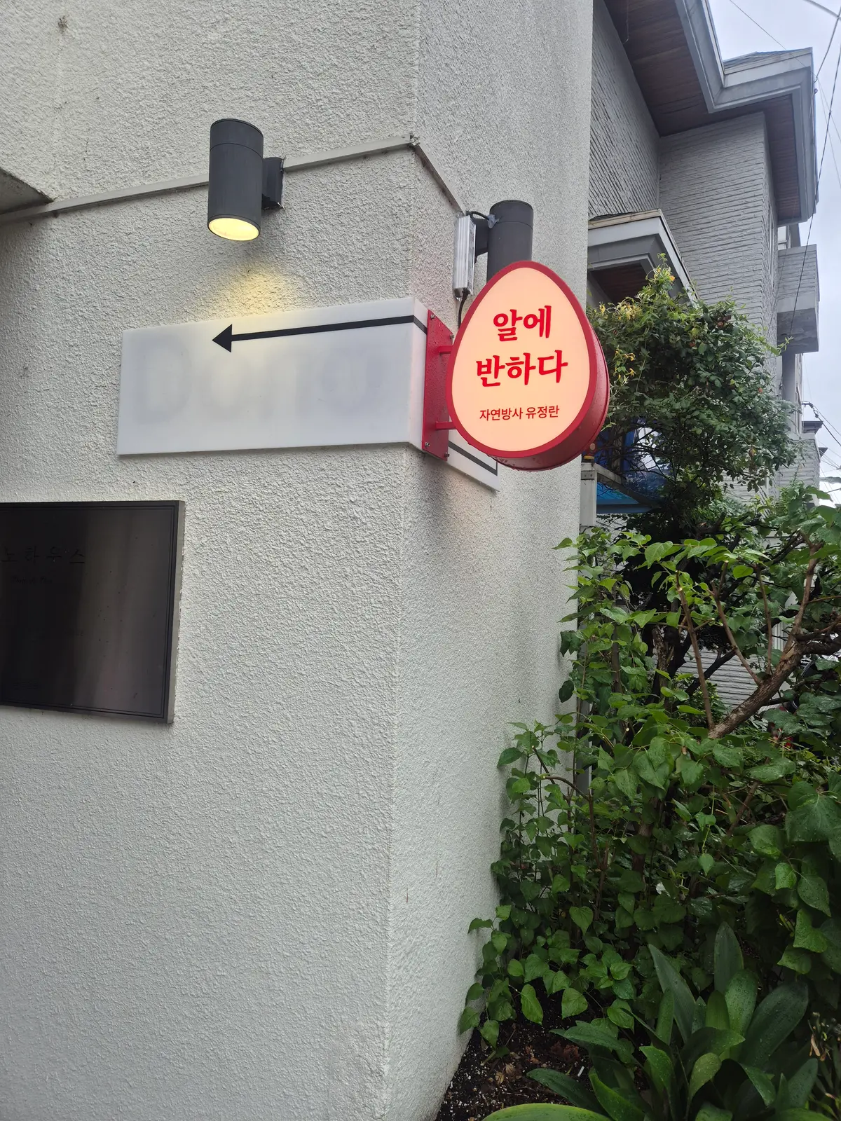 이미지 10