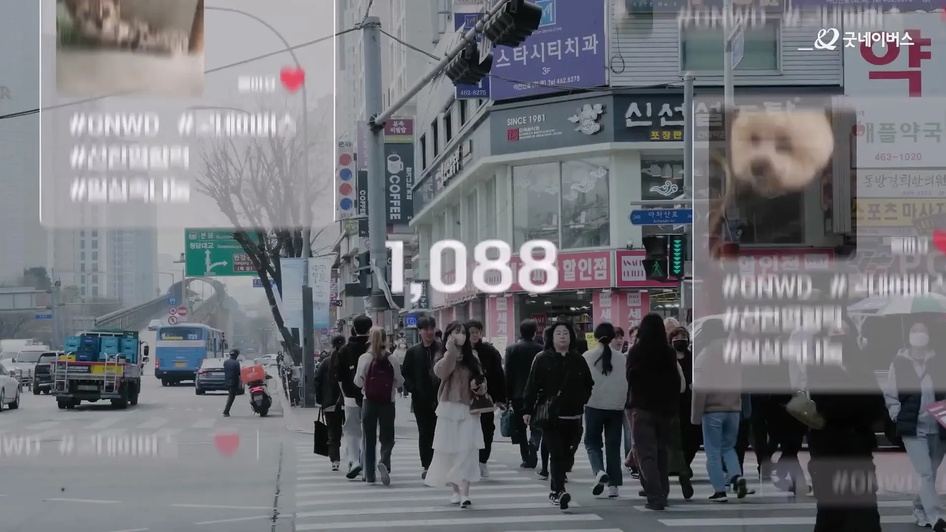 이미지 10