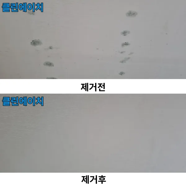 이미지 4