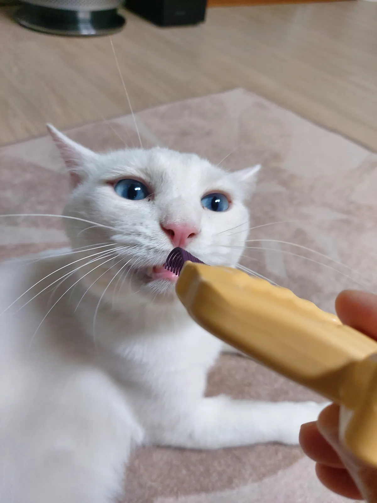 이미지 4
