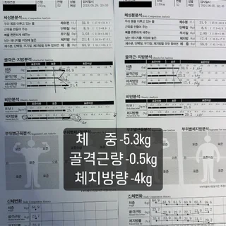 인바디 비포&애프터