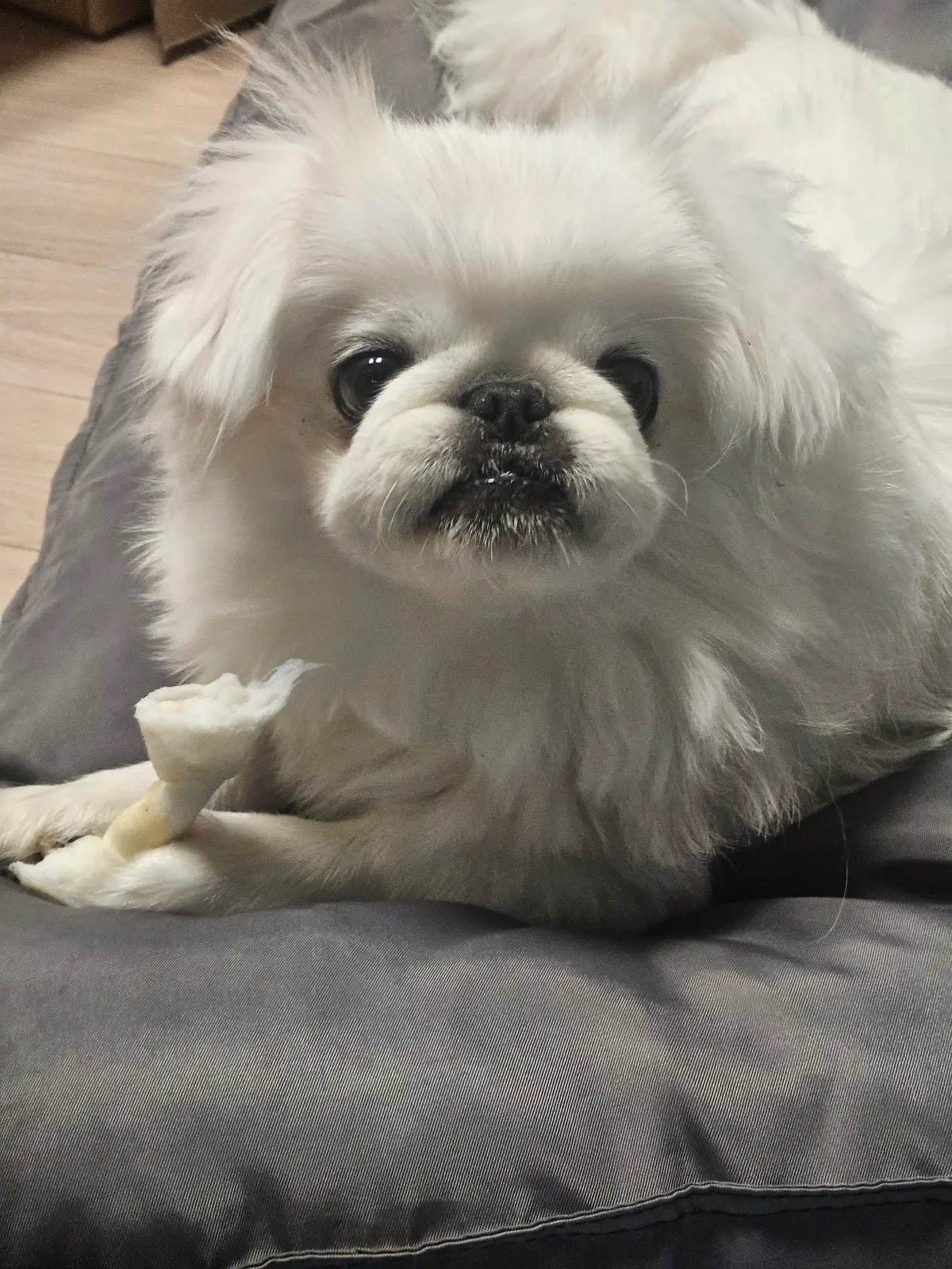 이미지 9