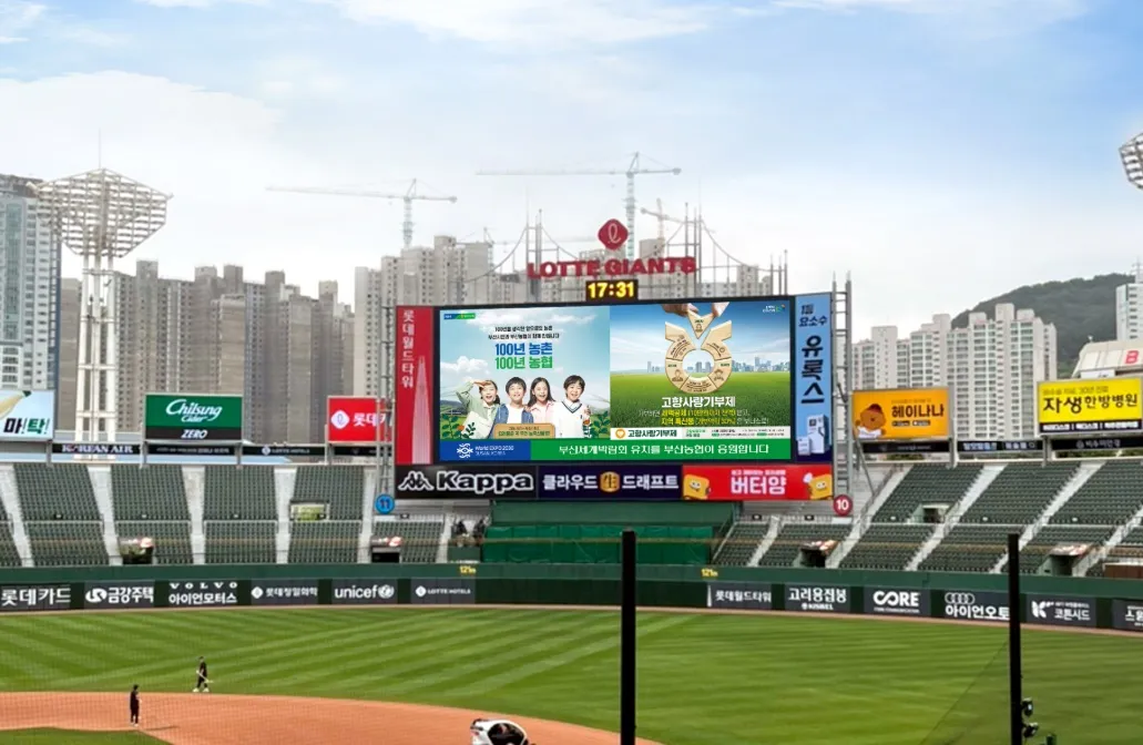 이미지 13