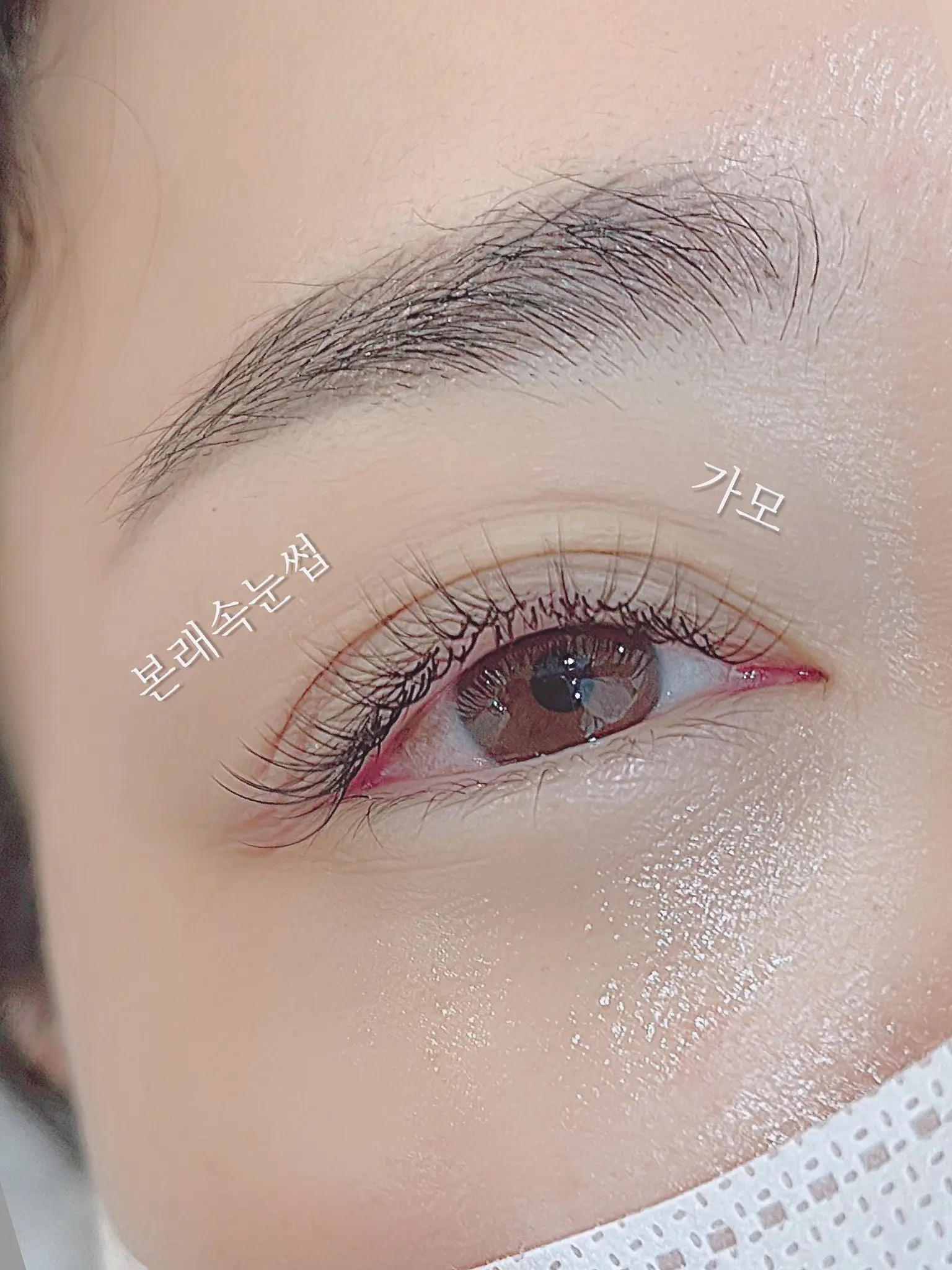 이미지 4