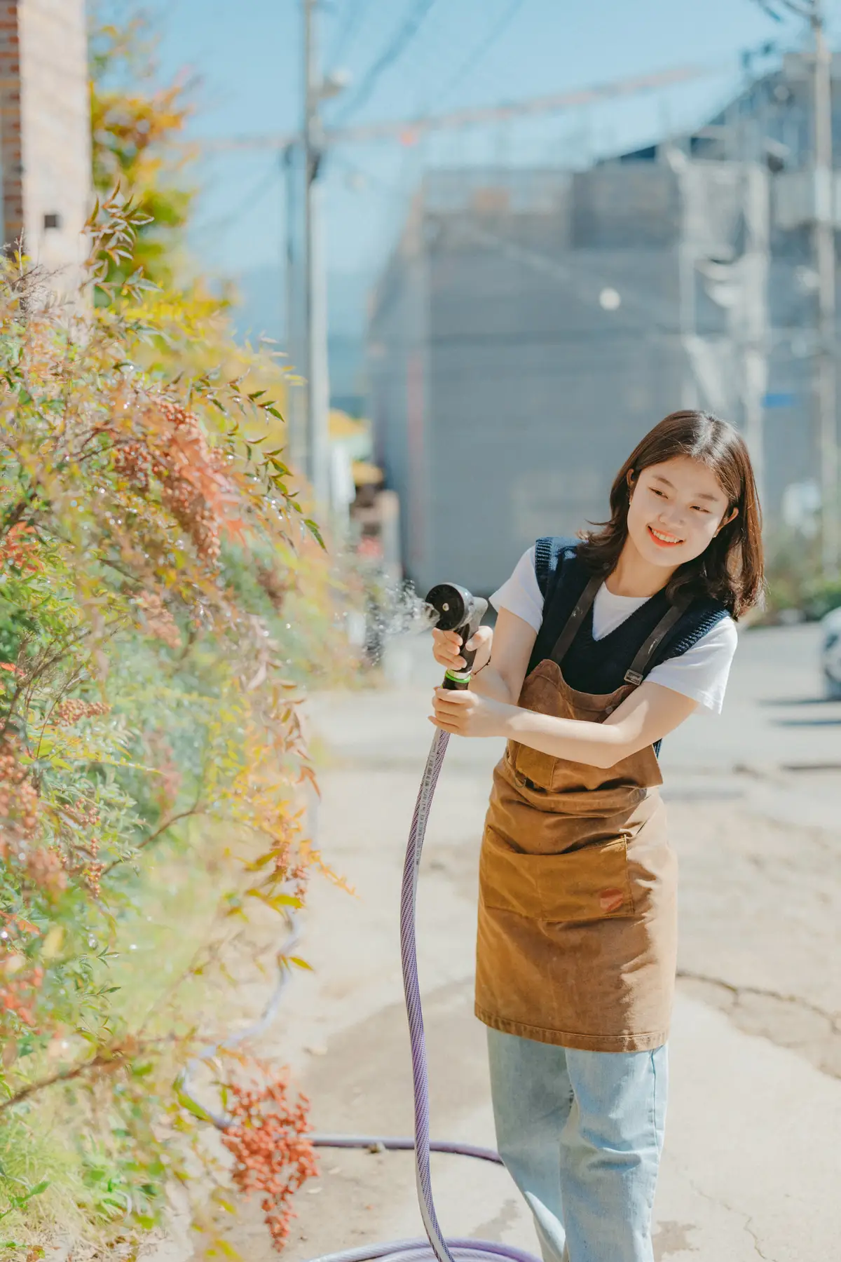 이미지 7