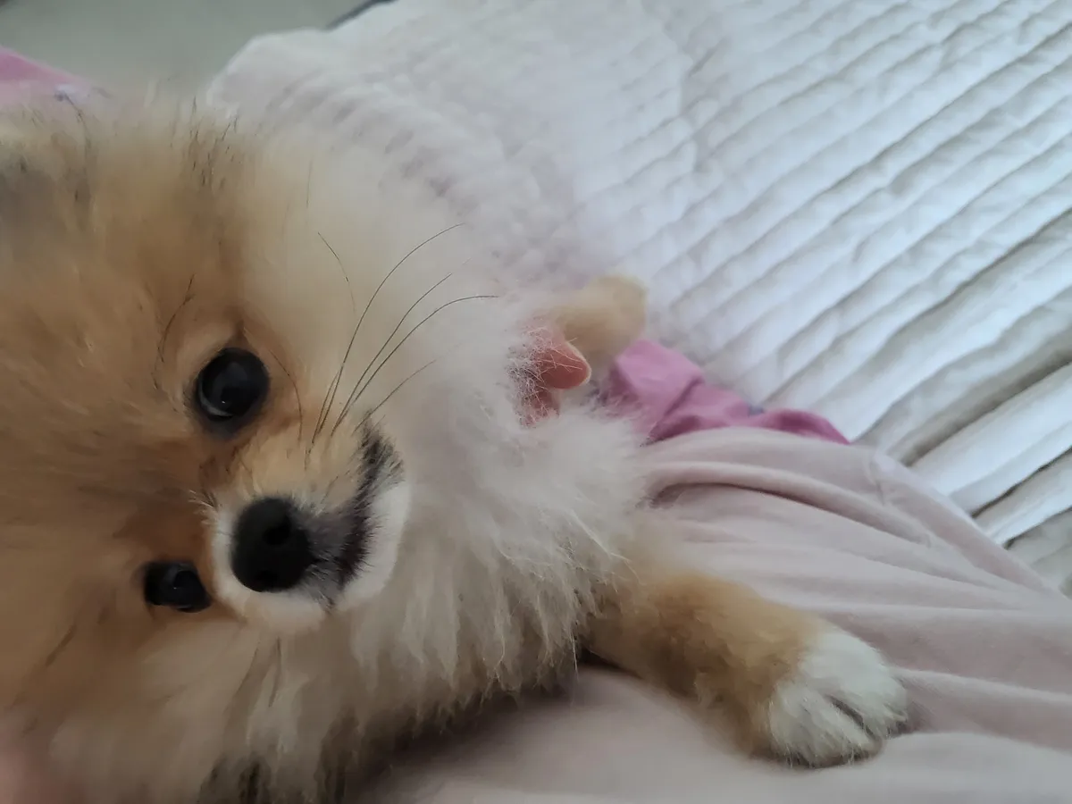 이미지 5