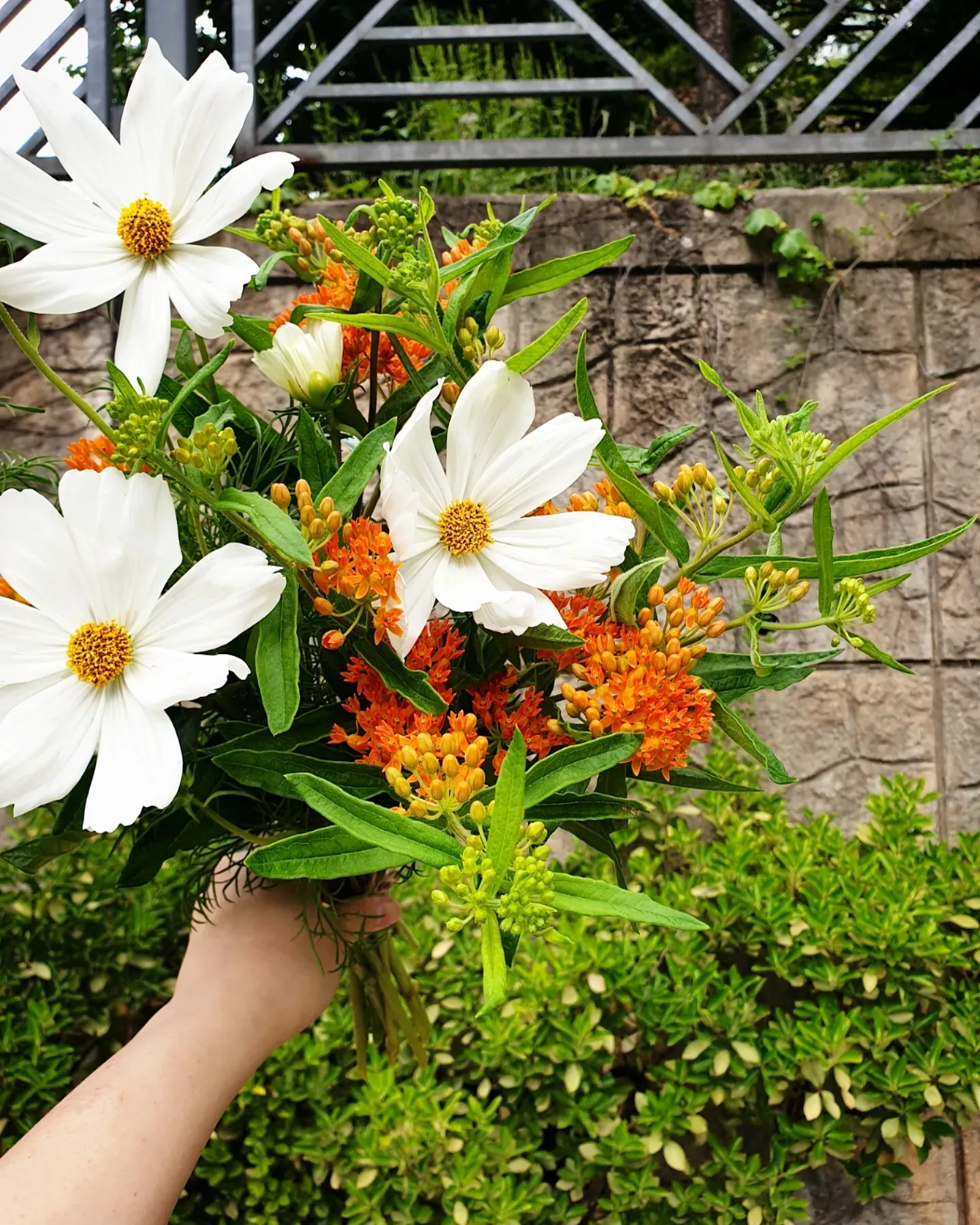 이미지 8
