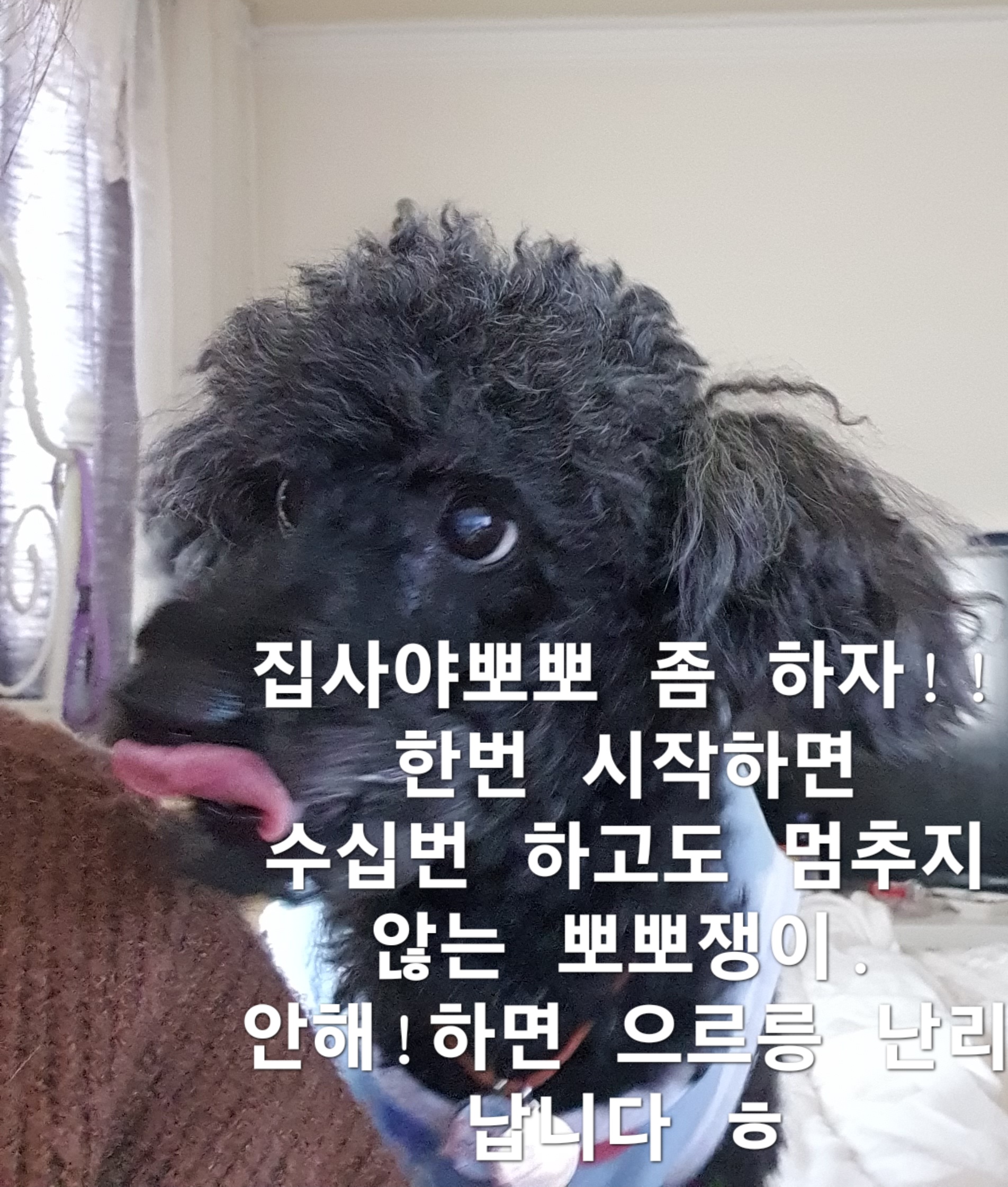 두계절을 넘긴 장기스테이