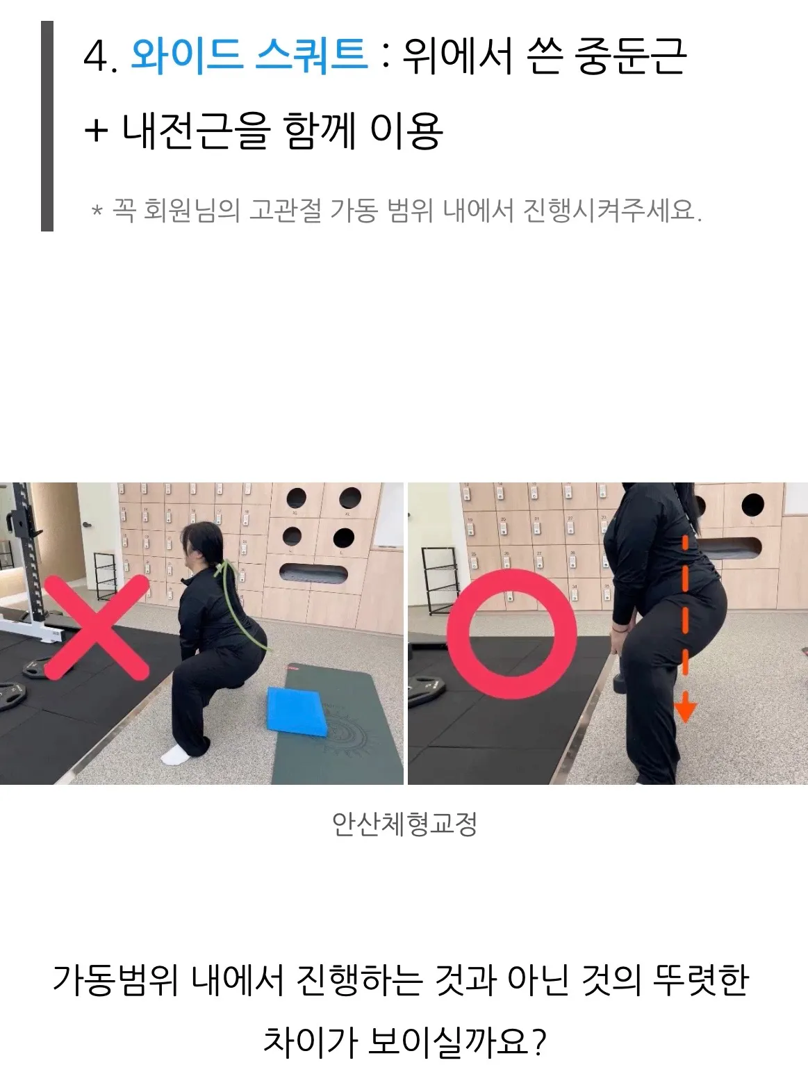 이미지 8