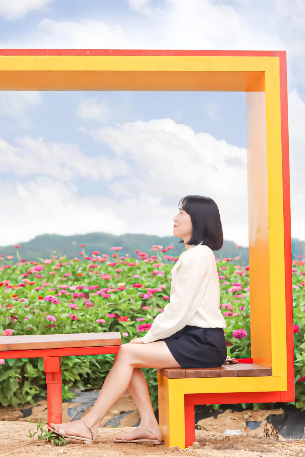 이미지 7